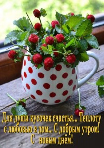 Создать мем: доброе утро ягоды, доброе утро добрый день, открытки с добрым утром