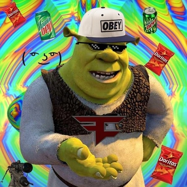 Create meme: Shrek , shrek mlg, shrek mlg