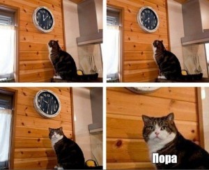 Create meme: meme with a cat and a clock, and watch cat meme, meme the cat and the clock time