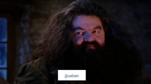 Create meme: Rubeus Hagrid sorcerers stone, Robbie Coltrane is Hagrid, Hagrid you're a wizard Harry