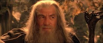 Create meme: Gandalf the Lord of the rings, the Lord of the rings Gandalf actor, the Lord of the rings 