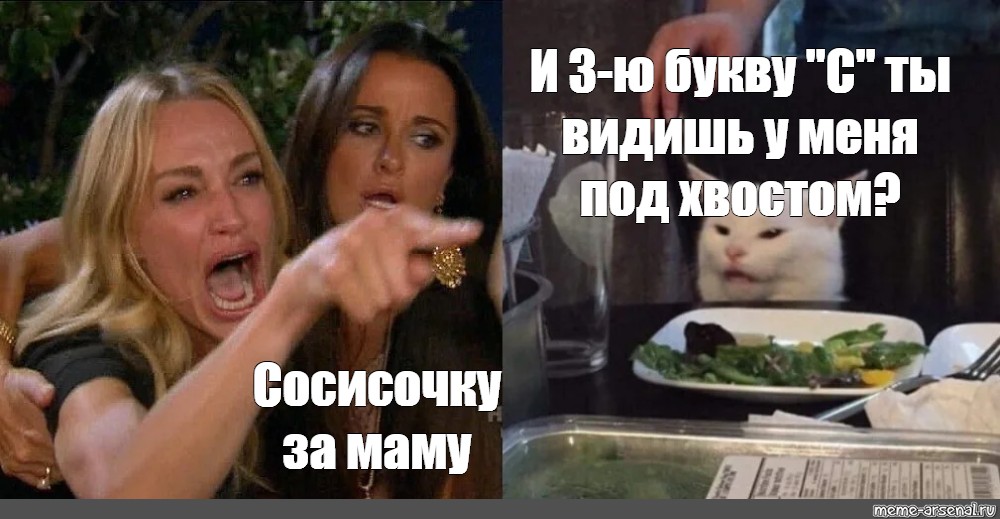 Мем с котом и женщиной