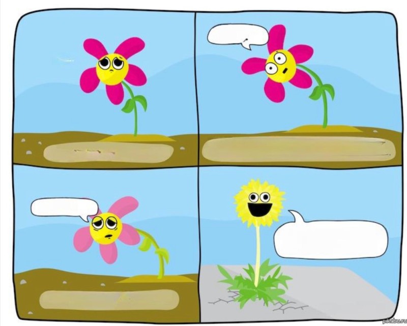 Create meme: flower meme, a comic about flowers, about plants