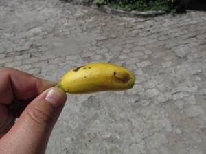 Создать мем: banana