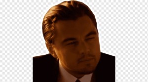 Create meme: meme of Leonardo DiCaprio, DiCaprio beginning, Leonardo DiCaprio squints