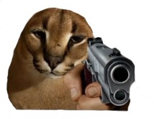 Create meme: dog, Caracal