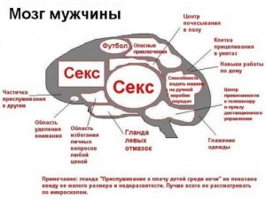 Создать мем: мозги, mozg, голова мозг
