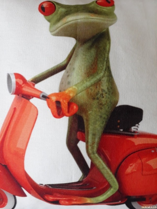 Create meme: frog on a moped, frog on a scooter, frog funny