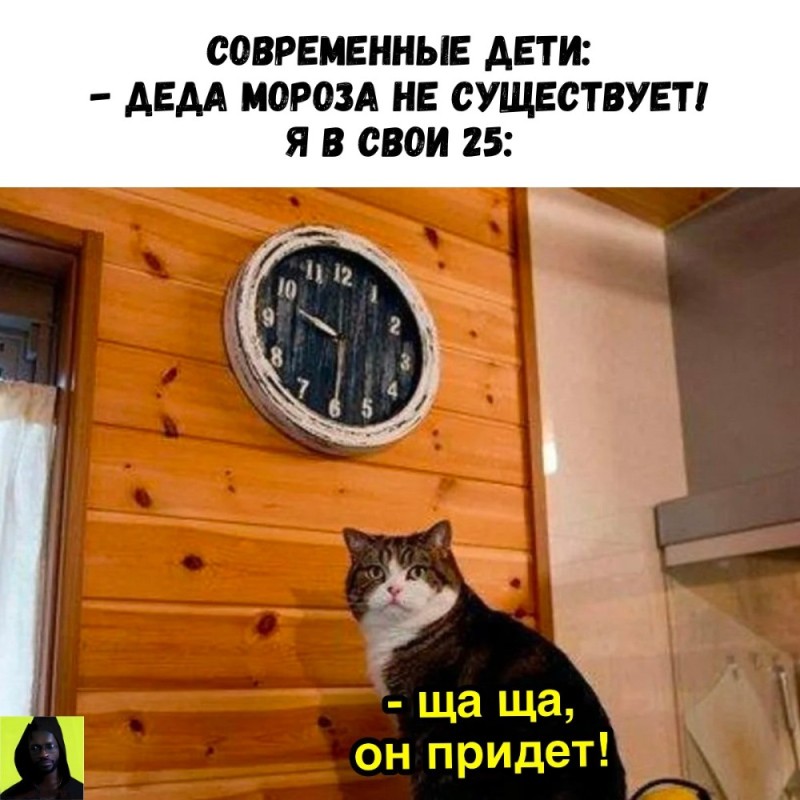 Create meme: and watch cat meme, meme with a cat and a clock, Oh no I think I missed the cat
