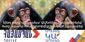 Создать мем: обезьяна смешная, обезьяна шимпанзе, шимпанзе бонобо