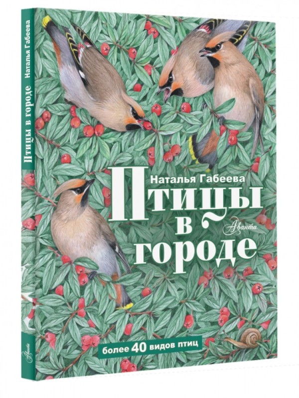 Create meme: birds in the city book by Gabeev, the book "birds in the city", birds in the city