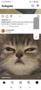Create meme: funny cats, the cat and the cat, cats