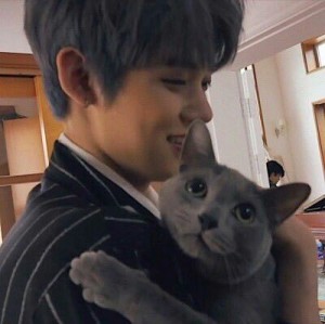 Create meme: bts cute, people, cat