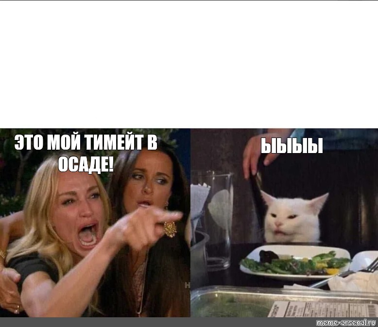 Мем с котом и женщиной. Мем девушка. Мемы за столом. Мем с котом за столом. Мемы с котом за столом с надписями.