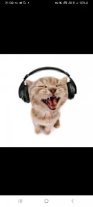 Create meme: listening to music on headphones, cat with headphones