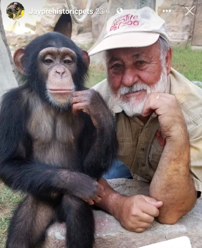 Create meme: chimpanzee genus, monkey Abu, little chimpanzee