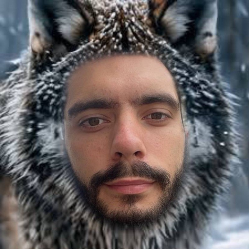 Создать мем: мемы, волк взгляд, серый волк