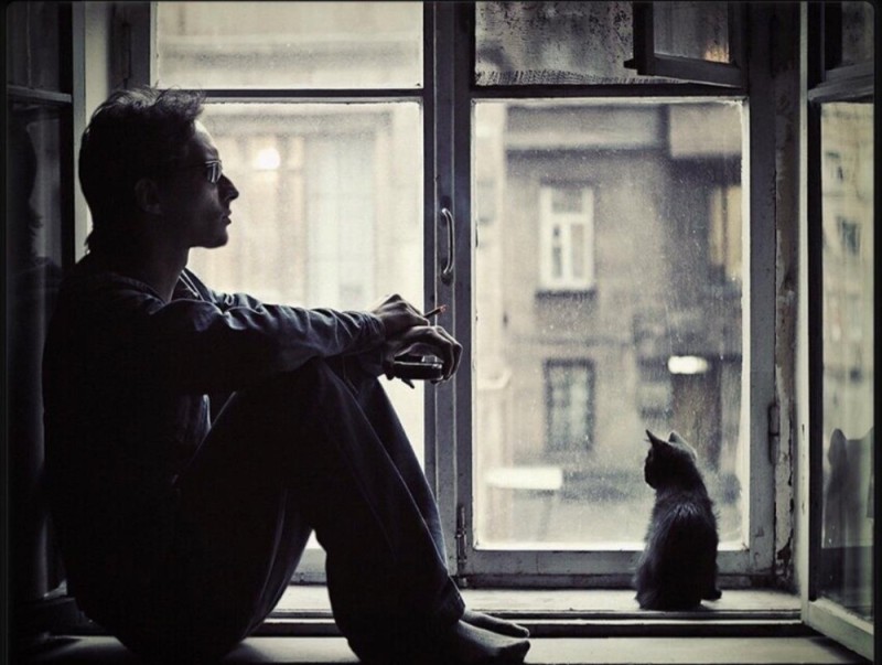 Создать мем: мужское одиночество, кот, ждет у окна