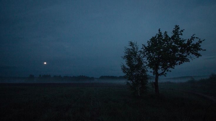 Create meme: night mist, field at night, night 