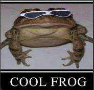 Create meme: toad , funny frog, toad with glasses