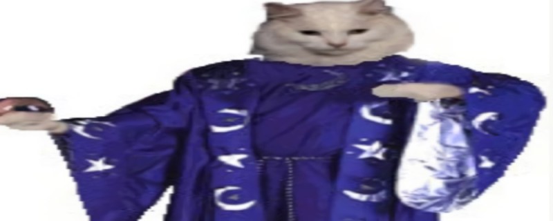 Create meme: unhappy cat meme, the cat in the restaurant meme, the cat achevsense