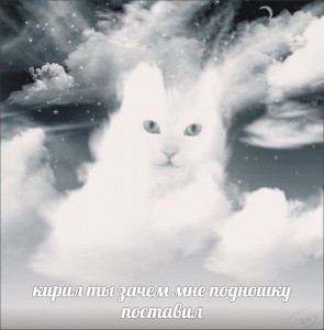 Create meme: cat sky clouds, cat cloud pictures, cat cloud pictures