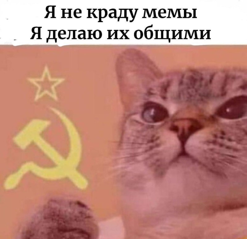 Создать мем: мемы, нападай мем с котом, котик коммунист