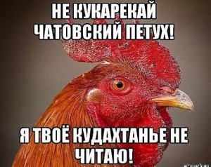 Create meme: rooster meme risovac.ru, Timur cock meme, Nikita cock meme