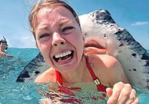 Create meme: SKAT, selfie mouth fish, shark attack