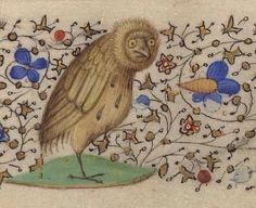 Create meme: owls, manuscript, suffering from the middle ages