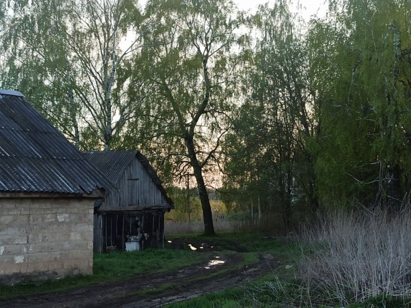 Создать мем: дом в деревне, деревенский дом, от людей на деревне