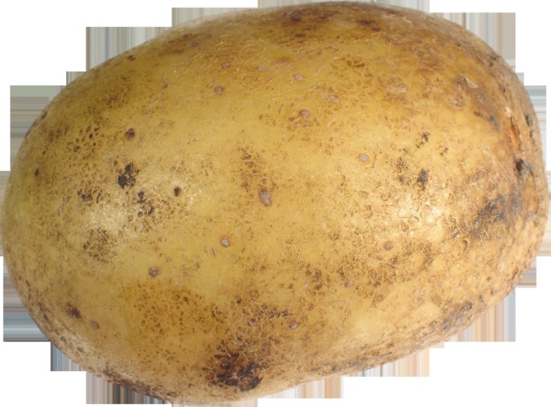 Создать мем: картофельная, семенной картофель, ди картофель