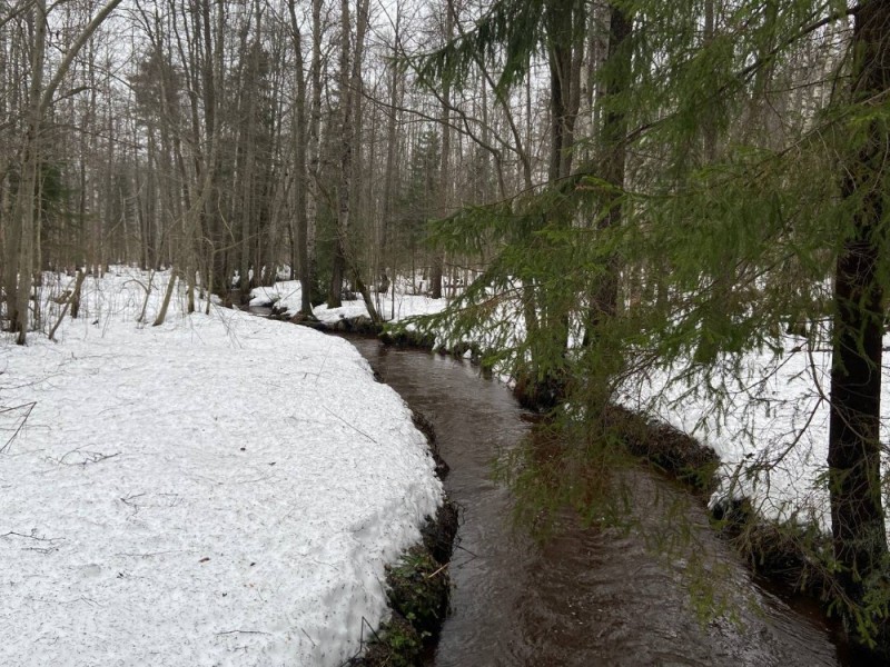 Create meme: a stream in the forest, spring streams, stream