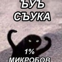 Создать мем: черный кот, ъуъ съука, ъуъ съука мем