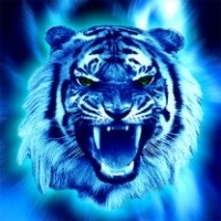 Create meme: Kohl tigers VK, sifco blue tiger, beautiful pictures for avatars Vkontakte tiger