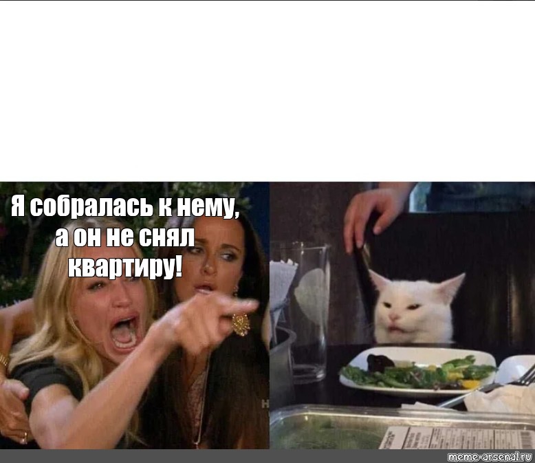 Жена кошка мем. Мем с котом за столом. Мем с котом и девушками за столом. Кот со столиком Мем. Мем с белым котом за столом только девушки.