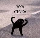 Создать мем: кот ъуъ, черный кот ъуъ, ъуъ съука