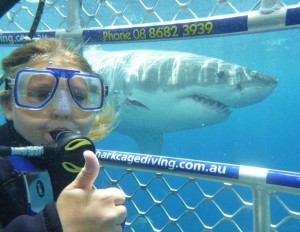 Create meme: selfie with sharks, pictures of diving with sharks, shark diving in a cage