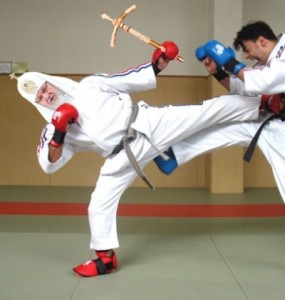 Create meme: hand to hand combat, Taekwondo, army hand to hand combat