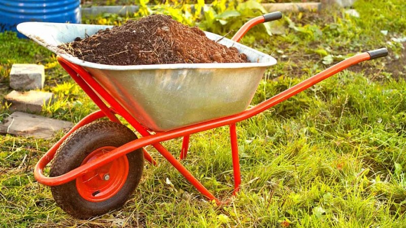 Create meme: wheelbarrow garden, wheelbarrow construction, a manure wheelbarrow