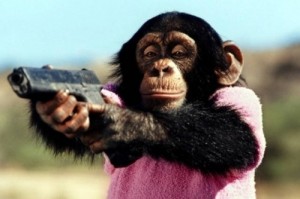 Create meme: a monkey with a grenade, monkey, a monkey with a gun