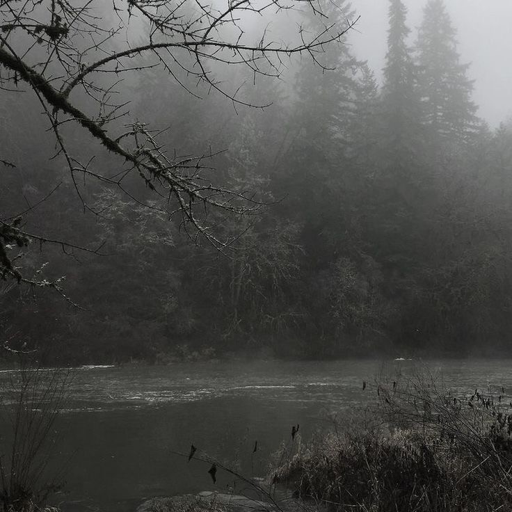 Создать мем: тьма река, туман, река в тумане без фотошопа