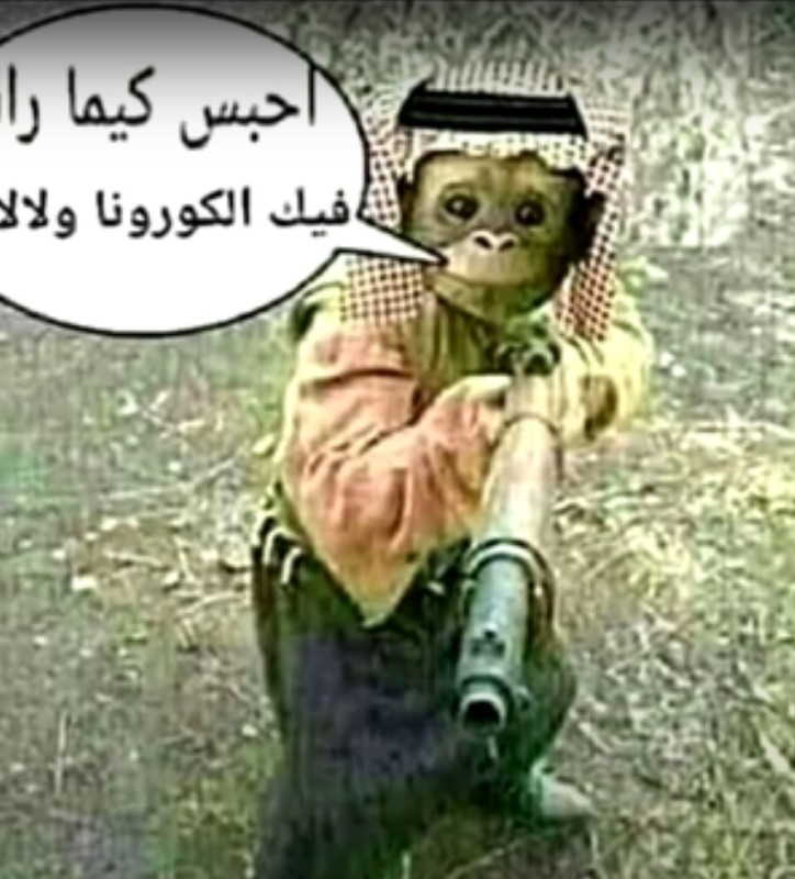 Create meme: girl , the arab monkey, ahcha ber