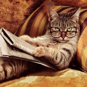 Создать мем: мартовский кот, smart cat, день кошек