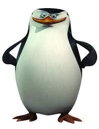 Создать мем: пингвины из мадагаскара ковальски, пингвин ковальски, пингвины мадагаскара