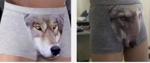 Create meme: wolf, underwear wolf