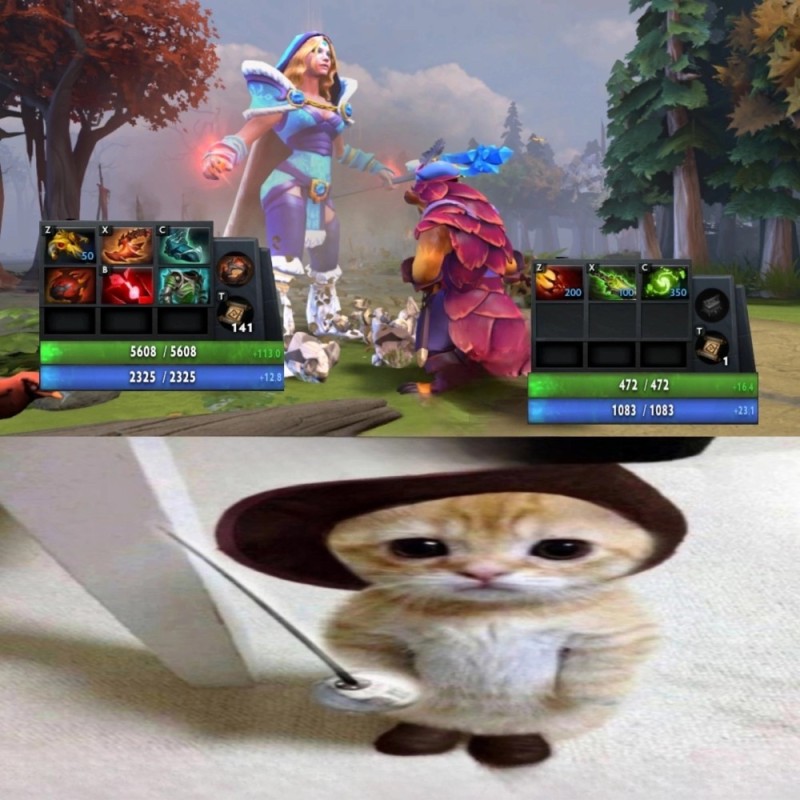 Create meme: funny cats , funny cat, funny cats 