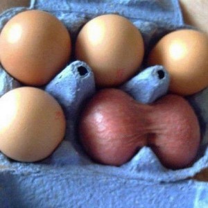 Создать мем: яйцо куриное домашнее, яйцо курицы, яйцо