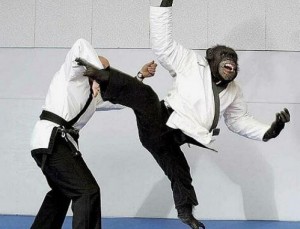Создать мем: карате, обезьяна каратэ, айкидо в реальном бою