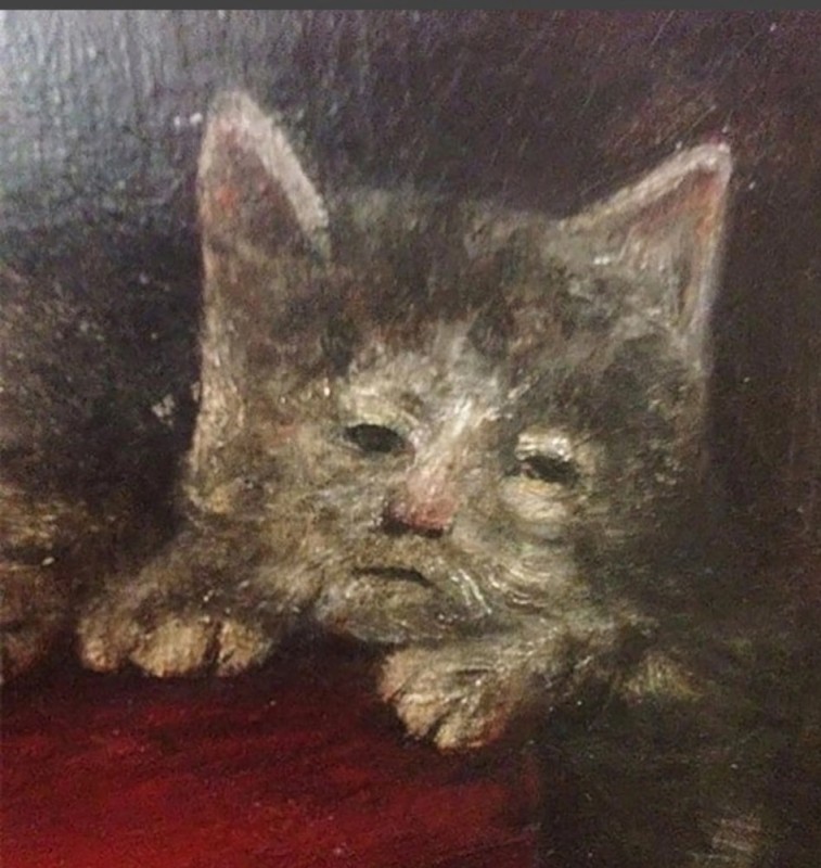 Создать мем: кот, кошки с человеческим лицом картины, котик художник